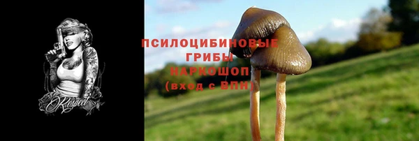 шишки Алексеевка