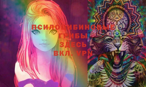 амф Алзамай