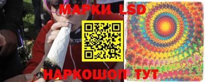 крисы Лениногорск