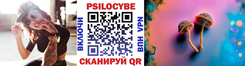 Галлюциногенные грибы Psilocybe  как найти наркотики  Балашов 