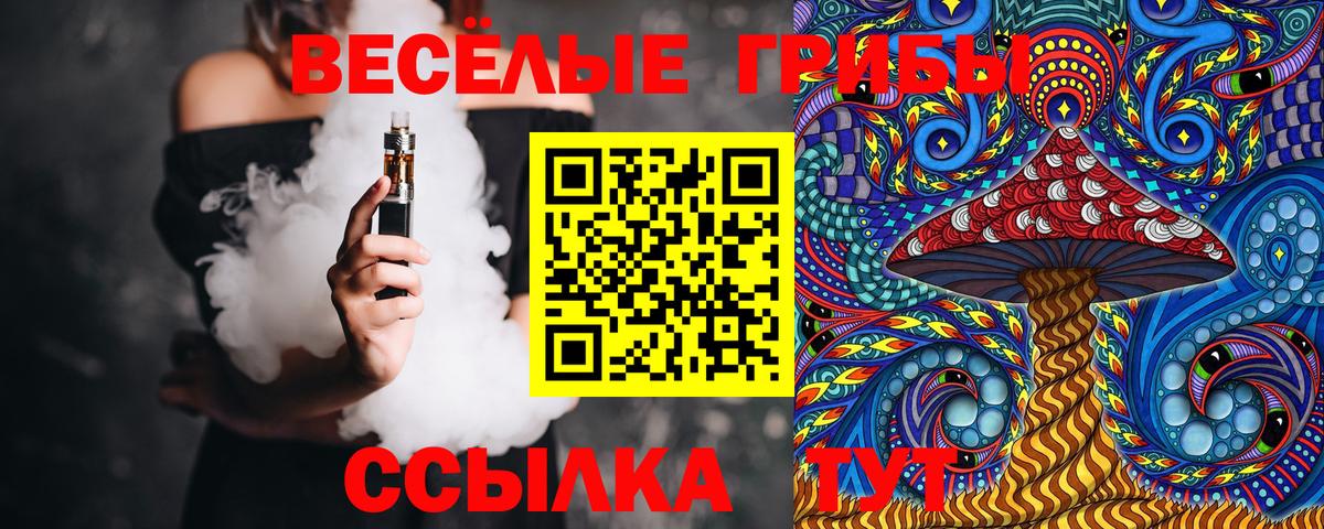 Галлюциногенные грибы Cubensis Балашов