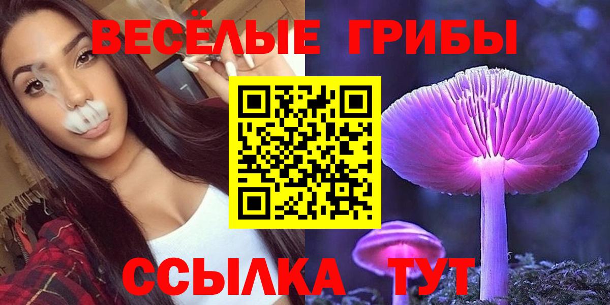 купить наркоту  Галлюциногенные грибы ЛСД  Вход с VPN  Балашов 